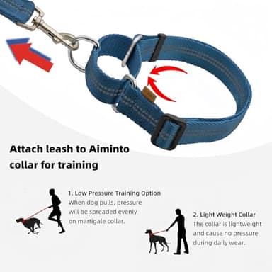 Aiminto Adjustable Nylon Reflective Martingale Dog Collar for Training and Walking (Blue, L (Neck: 19"-28", Width: 1")) - Image 3