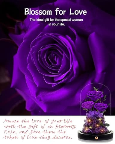 Agrul Flowers Roses Gifts for Mom,Forever Real Preserved Roses in Glass Dome,Mothers Day for Wife Girlfriend Women Best Friend Grandma/Purple Rose - Image 4