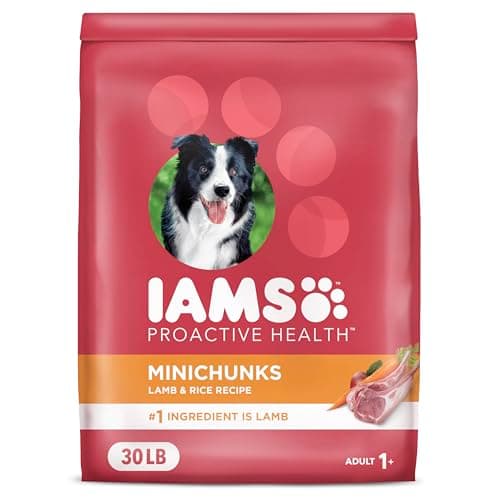 IAMS Proactive Health Minichunks Adult Dry Dog Food with Lamb & Rice, 30 lb. Bag - Image 1