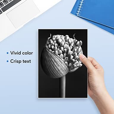 DR820 Drum Unit Compatible for Brother DR 820 DR-820 Replacement for MFC-L5900DW HL-L6200DW HL-L5100DN MFC-L5800DW MFC-L5700DW HL-L5200DWT MFC-L6700DW HL-L5200DW (2 Drum Unit, NOT Toner) - Image 5