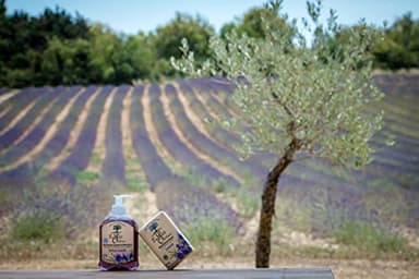 Le Petit Olivier Extra Mild Soap - Lavender - Gently Cleanses Skin - Delicately Perfumed - Vegetable Origin Based - 8.8 Oz - Image 5