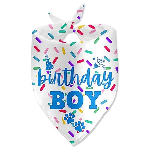 Birthday Boy Dog Bandanas for Photo Props - Happy Birthday Party Accessories - Image 1