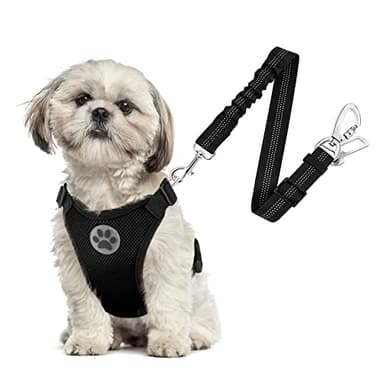 SlowTon Dog Seat Belt Harness for Car, Dog Car Harness Adjustable Mesh Breathable & Dog Seatbelt Safety Tether with Elastic Bungee for Small Medium Large Pets(Black, Double Clip, XS) - Image 1