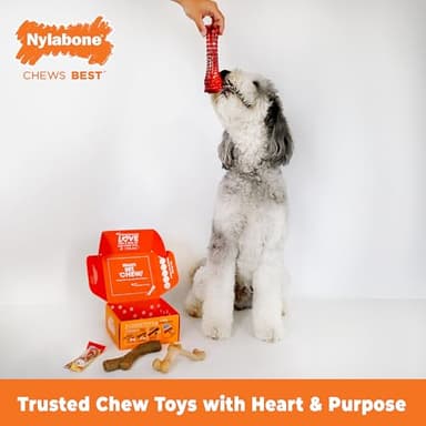 Nylabone Dog Gift Box, Includes 3 Strong Chew Toys and 1 Natural Treat, Gifts for Dogs, Large - Up to 50 lbs, 4 Pack - Image 2