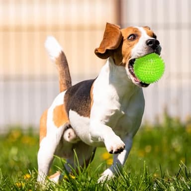 Ousiya 3.5” Squeaky Dog Toy Balls (6 Colors) Dog Toys Spikey Dogs Ball for Aggressive Chewers Heavy Duty Teething Large Medium Durable Dogs Balls - Image 5