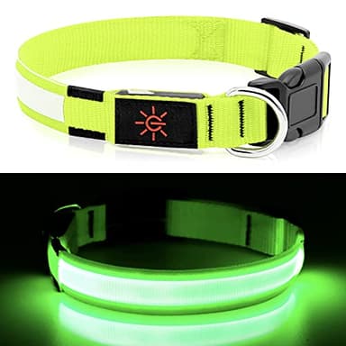LED Dog Collar - Light Up, Waterproof, Adjustable Flashing, Rechargeable Visibility & Safety for Dogs (Green, Large) - Image 2