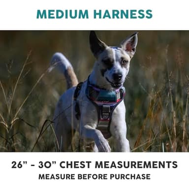 Embark Adventure Dog Harness, Reflective Trim No Pull Harness for Medium Sized Dog - Military Grade Nylon, Front Clip with Gel Lined Handle. Soft & Padded Puppy - Image 2