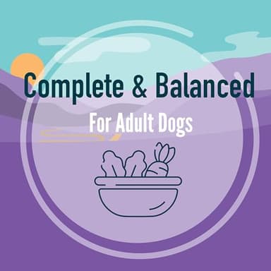 A Strong Heart Wet Dog Food, Beef, Bacon & Cheese Flavor - 13.2 oz Cans (Pack of 12), Made in The USA with Real Beef - Image 9