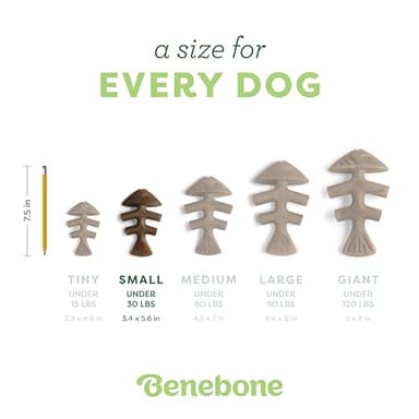 Benebone Fishbone Durable Dog Chew Toy for Aggressive Chewers, Real Fish, Made in USA, Small - Image 4