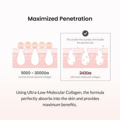 Biodance Collagen Ampoule | Korean Collagen Serum for Face, Pore Minimizing & Anti Aging Face Serum for Women | 1.69 fl. oz x 1 ea - Image 7