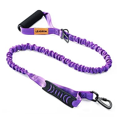 LEADSOM 6FT Highly Reflective Heavy Duty Elastic Bungee Medium and Large Dog Leash Shock Absorbing with Comfortable Padded Handle and Traffic Handle Suitable for Training - Image 1