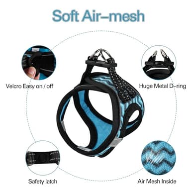 YIMEIS Dog Harness (XS, Blue) for Small Dogs, Lightweight Harness & Leash Set, Adjustable, Reflective, Breathable, 360°Visibility, Playful Style - Image 3