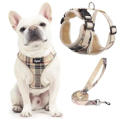 PUPTECK Soft Mesh Dog Harness and Leash Set Pet Puppy Cat Adjustable Reflective Padded Vest No Pull Harnesses, Beige, L - Image 1