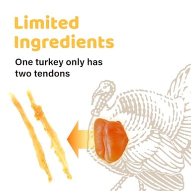iPaw Turkey Tendons for Dogs, 100% Turkey and US Sourced Raw Material, Hypoallergenic, All Natural Human Grade Puppy Chew, Rawhide Alternative Dog Treats, 1 Unit/Pack Strip (Large) - Image 3