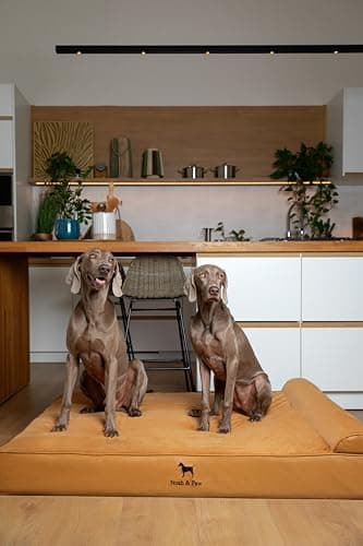 NOAH & PAW Giant Dog Bed XXL 55x45x9.5 Inch, Orthopedic Dog Beds, Eggshell Memory Foam Infused with Cooling Gel, Waterproof, Machine Washable, Includes Inner Cover (Faux Leather) - Image 2