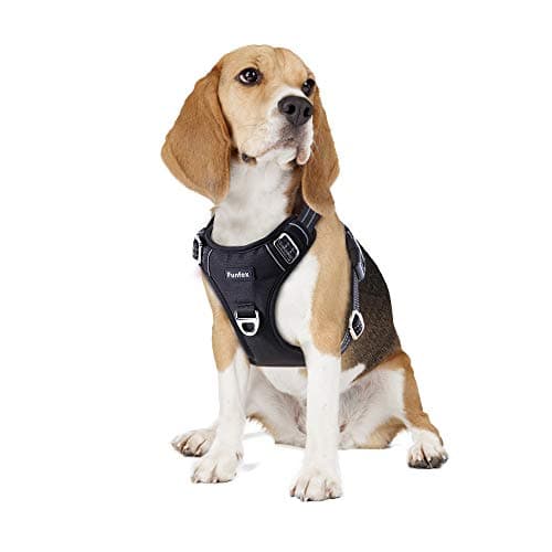 Funfox Dog Harness No Pull, Adjustable Pet Vest Harness, Super Soft Material with Vertical Handle Easy Control, Reflective Night Walking, 2 Leash Clips for Medium Sized Dogs, Black, M - Image 1