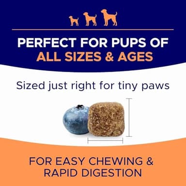 Dog Allergy Relief Chews — Itch Relief Skin & Coat Supplement: No Fillers, Just Flavor - Itchy Skin Relief Treatment w/Omega 3 Fish Oil - Itching & Paw Licking, Dry Skin & Hot Spots -Made in USA-180Ct - Image 6