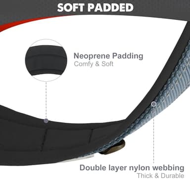 Joytale Dog Collar for Small Dogs, Neoprene Padded and Adjustable, Reflective Wide Heavy Duty Pet Collars with Durable Metal Belt Buckle for Walking, Gray, S - Image 2