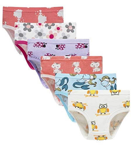 Barara King Girls' Undies 100% Cotton Panties Little Girls Soft Underwear Kids Briefs (Pack of 6) Size 6 - Image 1