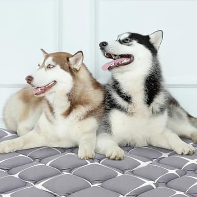 Bubble bear Dog Crate Mat - Ultra Soft, Washable & Anti-Slip Kennel Pad for Small/Medium/Large Dogs, Dark-Hued to Hide Stains (36"x23") - Image 6