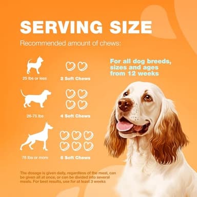 Skin and Coat Support Chewables - All Canine Breeds - Turmeric, Quercetin - Image 8
