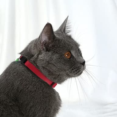 Muromto Leather Cat Collar Breakaway Adjustable Girl Boy Pet Collars for Cats Kitten Black Pink Green Brown Yellow Red White (Red) - Image 5