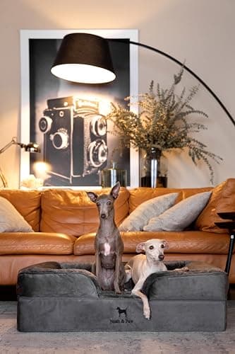 NOAH & PAW Large Dog Bed, 35x25x11 Inch, Orthopedic Dog Beds, Eggshell Memory Foam Infused with Cooling Gel, Inner Cover, Waterproof, Machine Washable (Velvet Sofa Collection) - Image 2