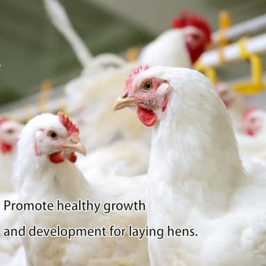 KAYHEN Dried Mealworms for Chickens 5LB Pure Natural Non-GMO High Protein Feed Meal Worms for Laying Hens Wild Birds - Image 5