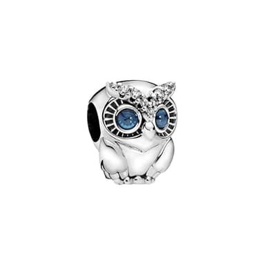Feitery Blue Wise Owl Charms Owls Compatible for Pandora Bracelets Gold Charm Heart Graduation Jewellery Gift for Granddaughter