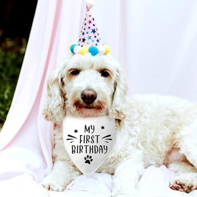 Dog Birthday Bandana Dogs First Birthday Dog Bandana Dog Birthday Gift Funny Dog Bandana Birthday Photo Prop Pet Scarf Accessories for Pet Dog Lovers Gifts - Image 4
