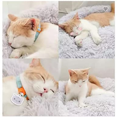 Dog Bed for Small Medium Large Dogs Cats, 20 inch Calming Washable-Round Cozy Soft Pet Bed for Puppy and Kitten with Slip-Resistant Bottom - Image 8