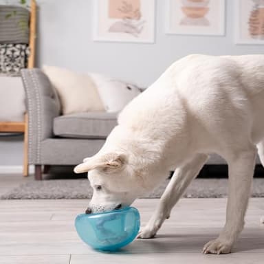 Outward Hound Large Snoop Interactive Treat Dispensing Dog Toy, Puzzle Ball Slow Feeder for Medium to Large Dogs, Mint-Scented for Mental Stimulation & Boredom Relief, BPA-Free, 5-Inch, Blue - Image 8