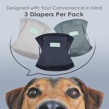 wegreeco Washable Male Dog Belly Band (Stylish Pattern)- Pack of 3 - Washable Male Dog Belly Wrap, Dog Diapers Male (Blue, Green, Champagne, X-Large) - Image 2