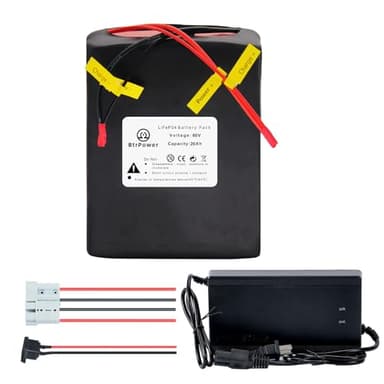 BtrPower 60V 20AH Ebike LiFePO4 Battery Pack with 50A BMS and 5A Fast Charger Fit for 1800W-350W Motor - Image 1