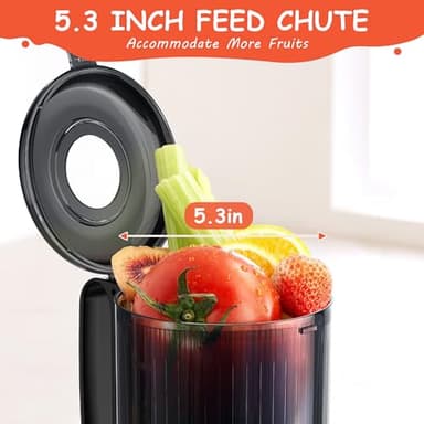 Hobsir Juicer Machines, 5.3-Inch Cold Press Juicers, Masticating Slow Juicer Machines with 300W, Large Feed Chute Juice Machines for Vegetables and Fruits, Easy to Clean Juicers, Black - Image 2