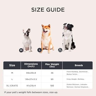 Bedsure Orthopedic Dog Bed Large Sized Dog - Memory Foam Pet Mattress with Removable Washable Cover and Egg Crate Foam, Thick Flat Suitable for Pet Up to 65 lbs, 36x27x3.5 Inches, Grey - Image 7