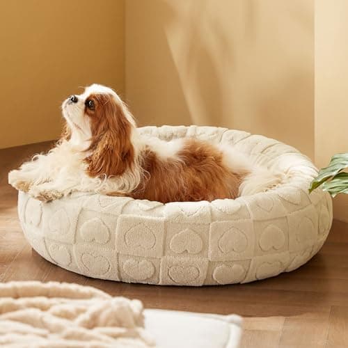 Bedsure Dog Bed for Medium Dogs - Donut Pet Bed for Puppy Kitten with Anti Slip Bottom, Round Sherpa Dog Beds with Washable Removable Cover, Cream, 30x30x8 inches - Image 1