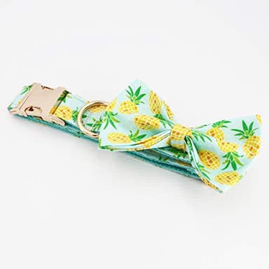 Pineapple Dog Collar with Bow, Dog Bow Collar,Wedding Dog Collar (XS) - Image 4