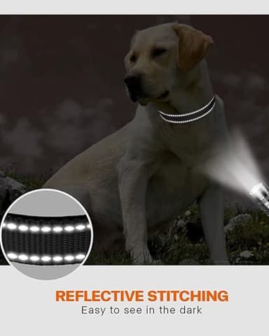 Aeclleca Reflective Dog Collar and Leash Set with Safety Locking Buckle，Adjustable Soft Nylon Pet Collars for Small Medium Dogs (Blue, XL) - Image 4