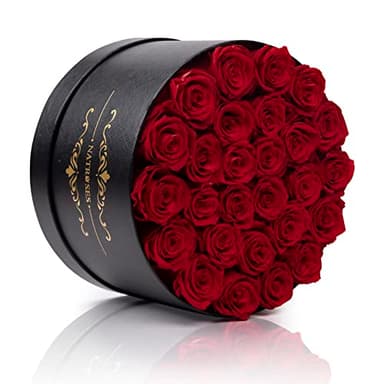 NATROSES 27 Piece Forever Preserved Roses in a Box, Preserved Flowers for Delivery Birthday, Flowers Gifts for Mothers Day, Red - Image 3