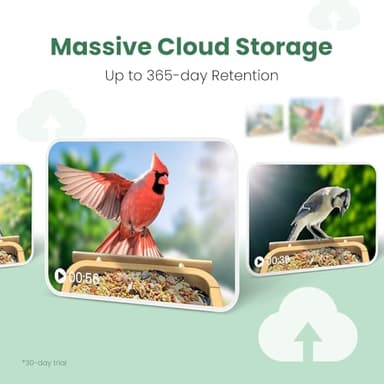 VINGUYS® Smart Bird Feeder with Camera, 2.5K UHD Bird Camera AI Identifies 11,000+ Bird's Species, Real-time Bird's Videos & Pictures, Solar Powered Wireless Outdoor, Ideal Gift for Dad - Image 7
