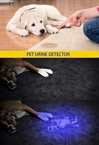 DARKBEAM UV 395nm Flashlight Ultraviolet led Light Blacklight Wood's lamp Portable 400nm Mini Detector for Dog/Cat Urine Pet Stains, Anti-counterfeiting Identification, Resin Curing, AA - Image 3
