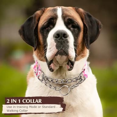 Martingale Collar for Dogs with Nylon & Steel Chain Limited Cinch Design, No Choke Dog Collar with Pink Flower Design, Adjustable No Pull Dog Collar, Great for Whippets, Greyhounds and More (XL) - Image 4