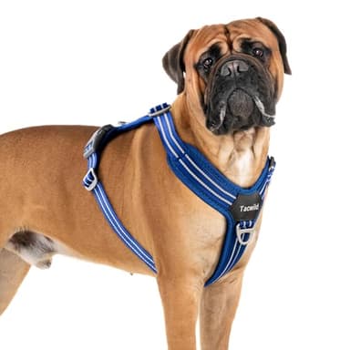 Tacwild No Pull Dog Harness - Adjustable Reflective Dog Vest with Metal Snap, Soft Breathable Mesh No Choke Puppy Harness, Easy to Put on & Take Off (Blue-XL) - Image 1