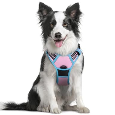 rabbitgoo Dog Harness No Pull with 2 Leash Clips, Adjustable Soft Padded, Reflective Oxford No Choke Pet Vest with Easy Control Handle for Medium Sized Dogs, Pink & Blue, M - Image 1