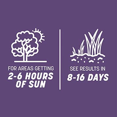 Pennington Smart Seed Dense Shade Grass Mix Bag 7 lb - Image 7