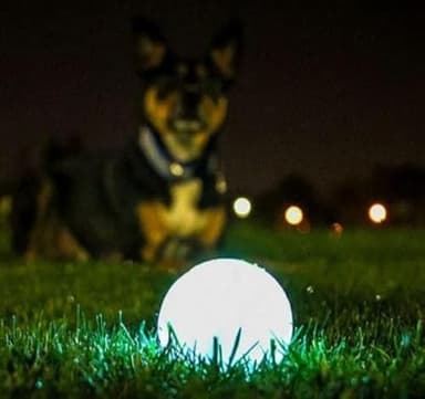 Chuckit! Glow in the Dark Bouncy Ball for Dogs, Chuckit Dog Toy, Max Glow Balls - Large, 3 Inch, Pack of 1 - Image 2