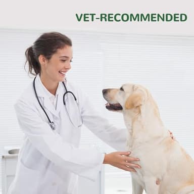 Vetriuntrix Dog Allergy Relief Chews, Dog Itch Relief Chews for Large Dogs Paw Licking Itchy Skin Seasonal Allergies, Probiotics with Astragalus Omega-3 for Coat Immune Supplement-150ct - Image 6