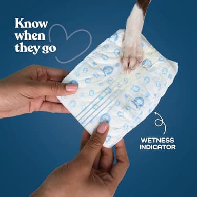 Comfortable Male Dog Diapers - 30-Pack Super Absorbent Disposable Male Dog Wraps- FlashDry Gel Technology, Wetness Indicator Doggie Diapers- Leakproof Belly Wraps for Incontinence, Excitable Urination - Image 5