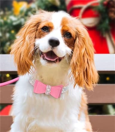 Rhinestone Bowtie Dog Collar for Girls Boys,Cute Dazzling Sparkling Soft Suede Leather Pretty Bling Cat Collars Crystal Diamond Pet for Small Medium Large Puppy Kitty Female Male - Image 3